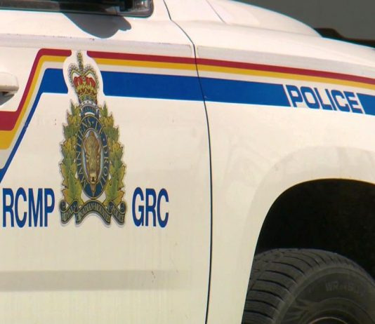 Man killed in officer-involved shooting in eastern Alberta, police dog injured Man killed in officer-involved shooting in eastern Alberta, police dog injured