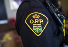 Ontario to spend $8.4 million to staff OPP mental health call program 8-year-old dies in ATV crash in Centre Hastings, impaired driving charge laid
