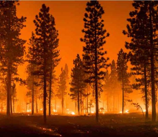 Ontario: There are nearly 200 active wildfires across British Columbia Ontario: There are nearly 200 active wildfires across British Columbia