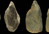 400,000-Year-Old Bone Tools Identified in Italy, archaeologists say