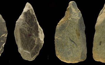 400,000-Year-Old Bone Tools Identified in Italy, archaeologists say 400,000-Year-Old Bone Tools Identified in Italy, archaeologists say