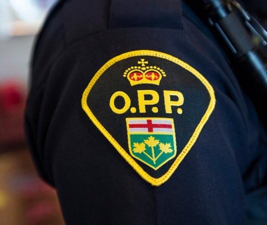 Huntsville OPP: Human remains found in wooded area near Parry Sound