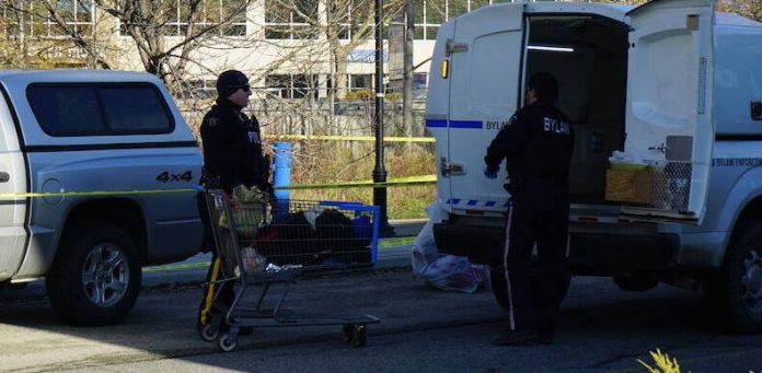 RCMP: Body found in Kelowna park not suspicious