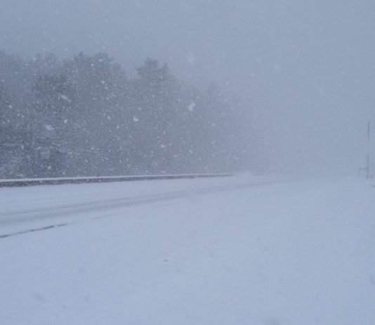 Winter is here: Snow squall warnings for parts of southwestern Ontario Winter is here: Snow squall warnings for parts of southwestern Ontario