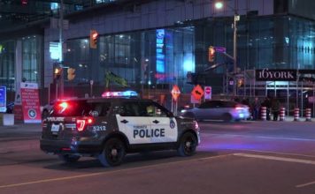 Woman dead, another injured in car crash in Etobicoke (Police) Woman dead, another injured in car crash in Etobicoke (Police)