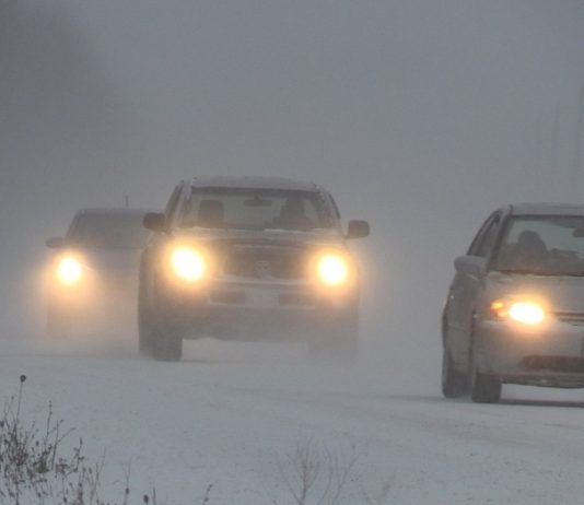 Nova Scotia storm: Snow causes cancellations, closures Nova Scotia storm: Snow causes cancellations, closures