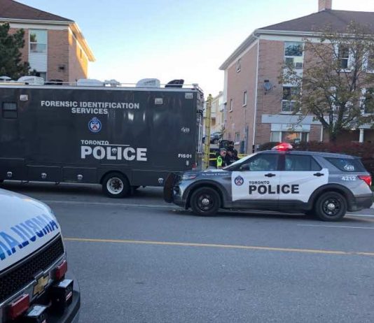 Police: Elderly man dies after being struck by car in Scarborough Police: Elderly man dies after being struck by car in Scarborough