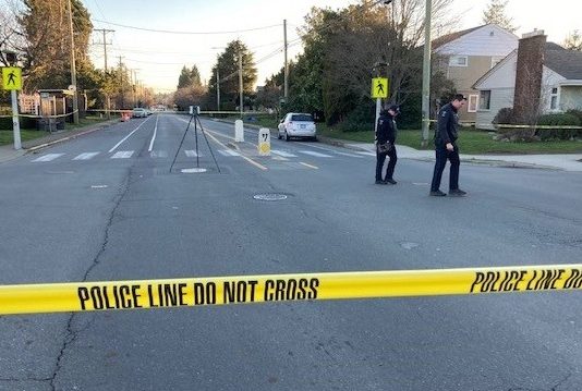 Pedestrian dies after being struck by transport truck on Pat Bay highway Pedestrian dies after being struck by transport truck on Pat Bay highway