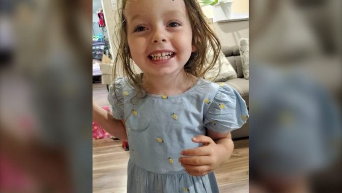 Police: Amber Alert issued for 3-year-old Barrie, Ont., girl