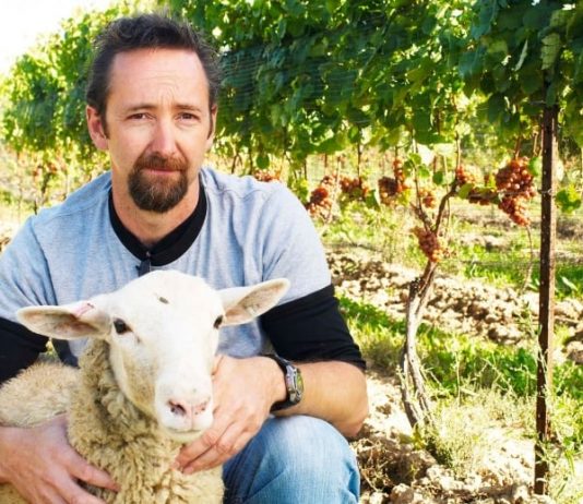 Police: Hamilton man charged in death of Niagara winemaker Police: Hamilton man charged in death of Niagara winemaker