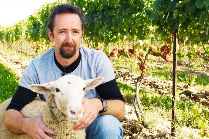 Police: Hamilton man charged in death of Niagara winemaker
