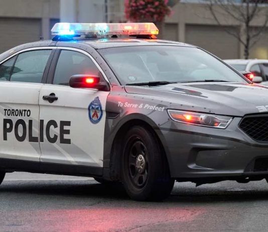 Police: Man charged after TTC employee stabbed at Dupont Station Police: Man charged after TTC employee stabbed at Dupont Station