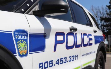 Brampton man shot and injured during domestic incident Brampton man shot and injured during domestic incident