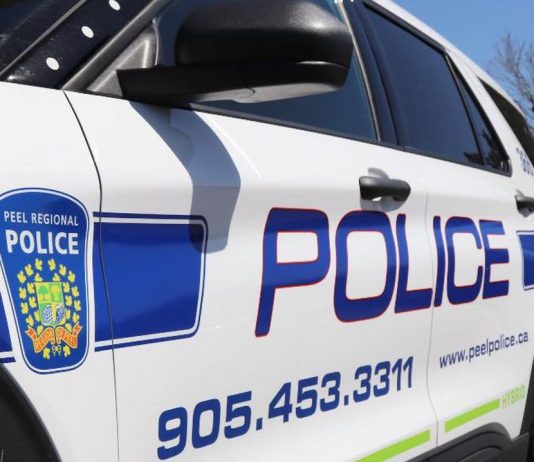 Brampton man shot and injured during domestic incident Brampton man shot and injured during domestic incident
