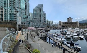 Vancouver hiking empty homes tax to 5 per cent of assessed value in 2023 Vancouver hiking empty homes tax to 5 per cent of assessed value in 2023