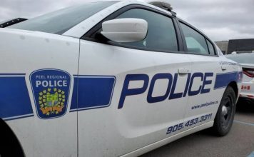 Woman killed in two vehicle crash in Brampton Woman killed in two vehicle crash in Brampton