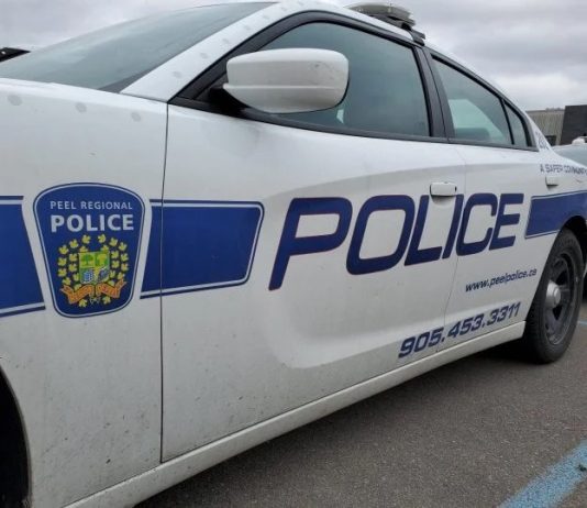 Woman killed in two vehicle crash in Brampton Woman killed in two vehicle crash in Brampton