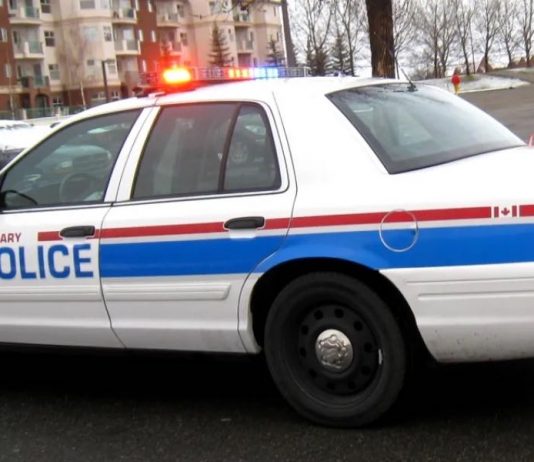 Calgary police make quick arrest in random stabbing on CTrain Calgary police make quick arrest in random stabbing on CTrain