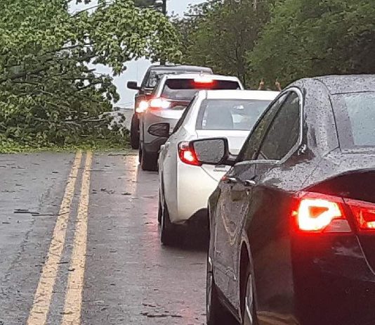 City of Peterborough declares state of emergency after storm, Victoria Park temporarily closed to the public City of Peterborough declares state of emergency after storm, Victoria Park temporarily closed to the public