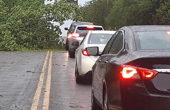 City of Peterborough declares state of emergency after storm, Victoria Park temporarily closed to the public