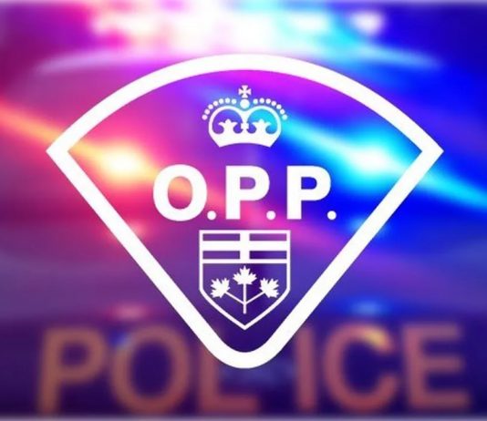 Ontario provincial police investigating after little girl’s remains found in Grand River Ontario provincial police investigating after little girl's remains found in Grand River