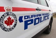 Police: Driver dead after vehicle crashes in Pickering