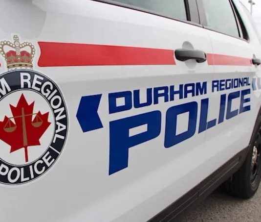 Police: Driver dead after vehicle crashes in Pickering Police: Driver dead after vehicle crashes in Pickering