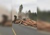 RCMP: On-ramp closed near Cumberland after logging truck overturns onto vehicle