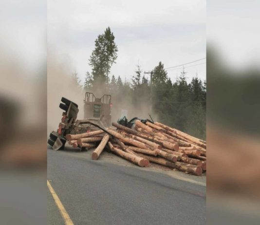 RCMP: On-ramp closed near Cumberland after logging truck overturns onto vehicle RCMP: On-ramp closed near Cumberland after logging truck overturns onto vehicle
