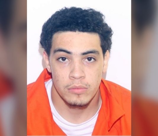 21-year-old Toronto man faces 30 charges in case spanning Ont., B.C. 21-year-old Toronto man faces 30 charges in case spanning Ont., B.C.