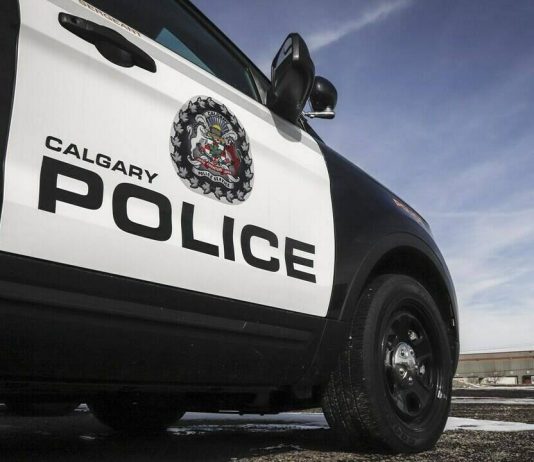Calgary police say woman in her 80s died after dog attack