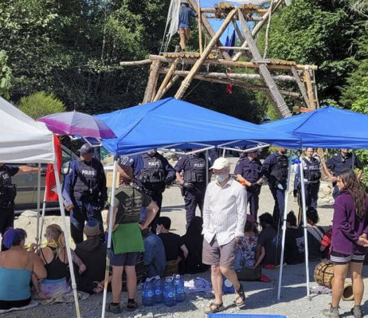 RCMP: 5 arrested after Fairy Creek old-growth-logging protesters return RCMP: 5 arrested after Fairy Creek old-growth-logging protesters return