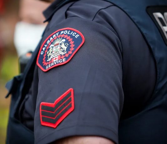 Calgary police: Dead body found in upper Mount Royal alley Calgary police: Dead body found in upper Mount Royal alley