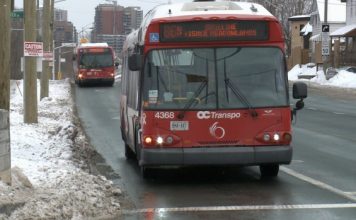 Memo: Studying no-fare transit in Ottawa could cost city nearly one million dollars Memo: Studying no-fare transit in Ottawa could cost city nearly one million dollars