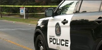 Male driver dead after car crash, being pinned inside vehicle in North York