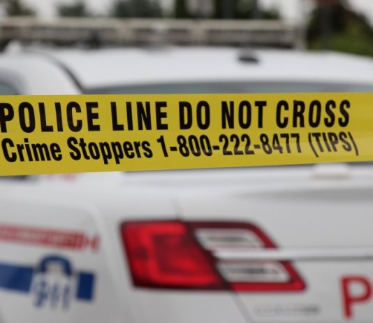 Police: Burnt human remains found on trail in Pickering Police: Burnt human remains found on trail in Pickering
