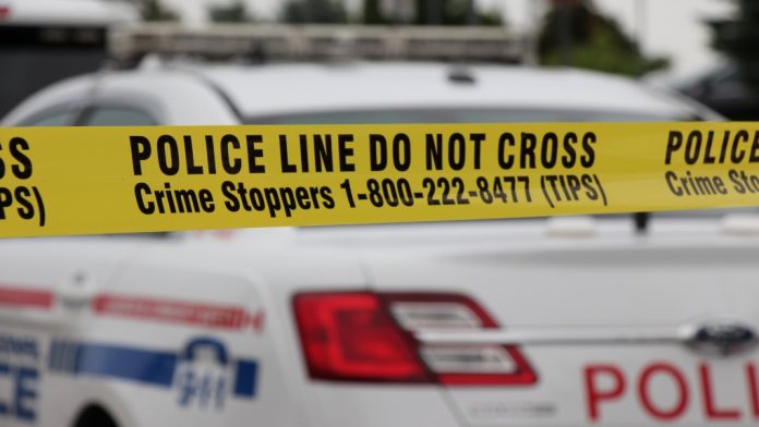 Police: Burnt human remains found on trail in Pickering