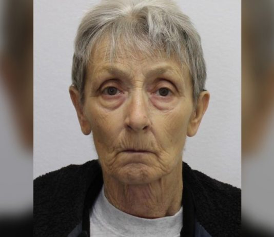 Searchers find body of missing mushroom picker: RCMP Searchers find body of missing mushroom picker: RCMP