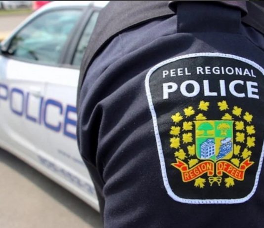 Three dead after car crashes into tree in Brampton, police say Three dead after car crashes into tree in Brampton, police say