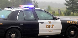 Highway 401: OPP officer airlifted to hospital after cruiser rammed during traffic stop