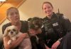 Police: Two dogs stolen at knifepoint at Yonge-Dundas reunited with owner