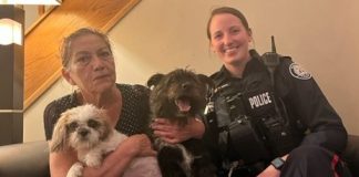 Police: Two dogs stolen at knifepoint at Yonge-Dundas reunited with owner
