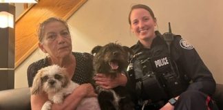 Police: Two dogs stolen at knifepoint at Yonge-Dundas reunited with owner Police: Two dogs stolen at knifepoint at Yonge-Dundas reunited with owner