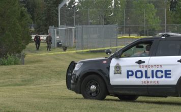 Two dead after 5-vehicle collision in Mill Woods, police say Two dead after 5-vehicle collision in Mill Woods, police say