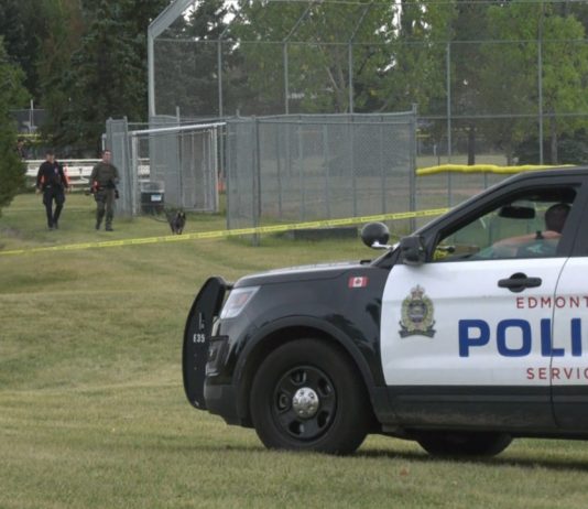 Two dead after 5-vehicle collision in Mill Woods, police say Two dead after 5-vehicle collision in Mill Woods, police say