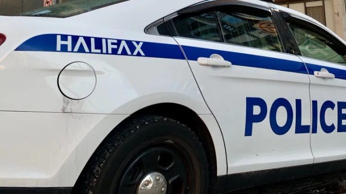 Man, 67, dead after being hit by Halifax Transit bus