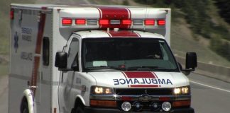 Pedestrian hospitalized after being hit by transport truck