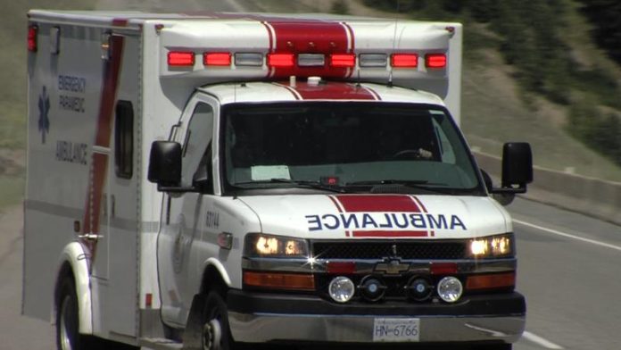 Pedestrian hospitalized after being hit by transport truck
