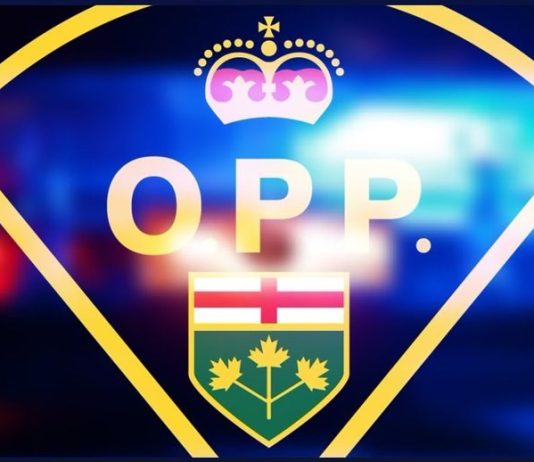 Rockland resident dead in single-vehicle collision Rockland resident dead in single-vehicle collision