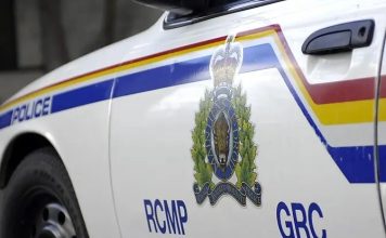 Two men charged after allegedly fleeing police in North Okanagan Two men charged after allegedly fleeing police in North Okanagan